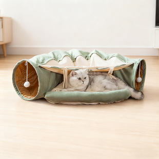 2��1؈����؈�Cһ�wĨ��ɫ؈�C������߸C����]��荶�Cat tunnel