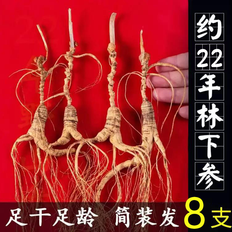 【林下山参】長白山林下参足年老参非園児参足乾山参泡酒炊飯材料|undefined