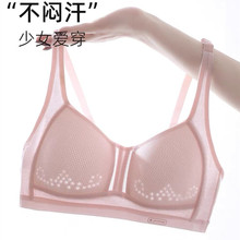 �ļ�������и���ѧ�����������׶���Ů���¶�����̶�����Ů����