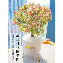 ��֦���~�����Ϙ�������ֲ���k���҃Ȼ����Bˮ��Gֲ���ļ��_����