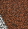 SY12383-21