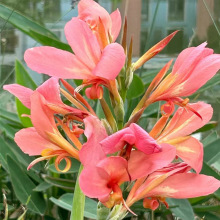 ���˽����玧ѿ����������ֲ���̨����ͥԺ�׻�������ܷN��N��