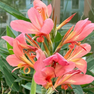 ˽玧ѿֲ̨ͥԺ׻ܷNN