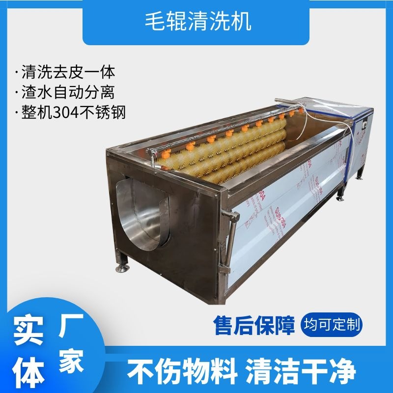 小型毛辊清洗机莲藕花生磨皮机胡萝卜毛刷清洗机人参枸杞清洗机器
