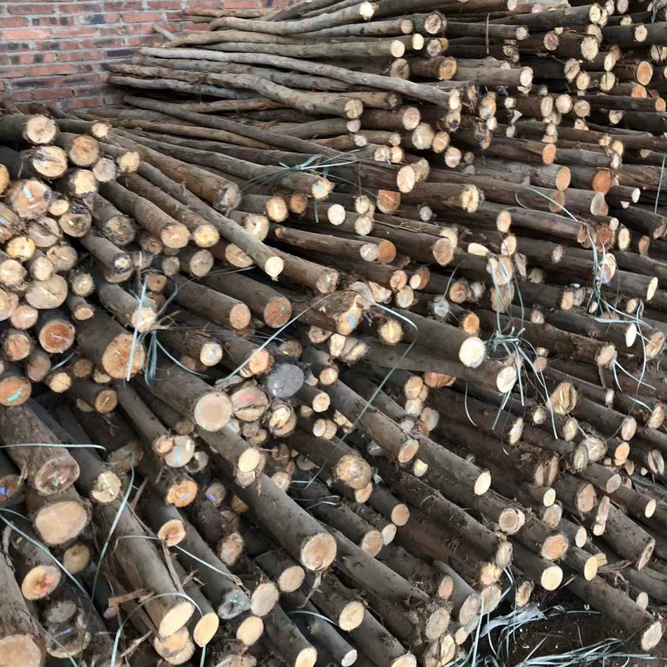 Рубашка деревянный столб садовый пейзаж опора для рассады бревно ствол из цельного дерева украшение пейзаж дерево полка сухая