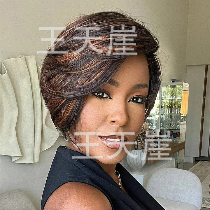 2026 New European and American Style Cross-Border Best-Selling Wig, Side-Swept Short Straight Hair, Black with Brown-Yellow Highlights, Wholesale from Manufacturer