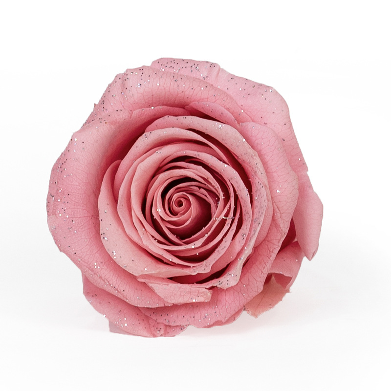 Yunnan fábrica mayorista de plata lipa rosa inmortalidad color perlado 6 flores hechas a mano material di