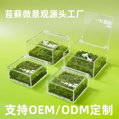 ミニ芝生マイクロランドスケープカスタマイズされた芝生苔ボックスオフィス学生手作り DIY 卒業シーズンギフト