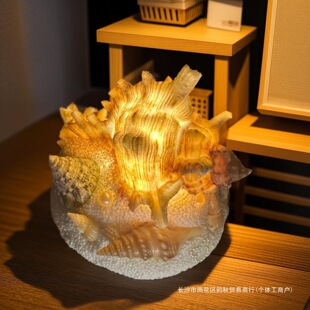 Conch Shell Nightlight DIY Handicrafts Sea Urchin Bedroom Ornaments Weihai Cultural and Creative Souvenirs Sanya Hainan