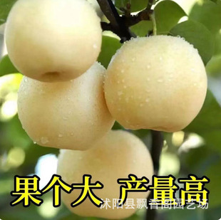 �����޽ӹ��䮔��Y���ϱ���ͥԺ���Ը߮a�׳ɻ��ļ����Թ�����