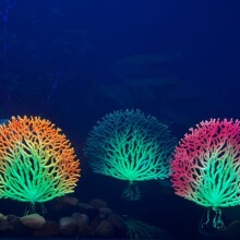 夜光仿真珊瑚荧光海铁树鱼缸盆景造景水族箱装饰品水生植物摆件