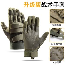 ����ȫָ���o���g�����\���������l�طN��Ӗ���񶷿羳���R�d���u