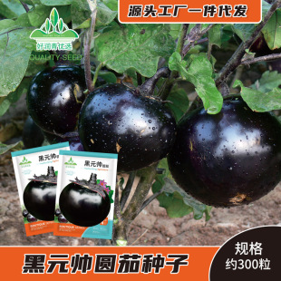 �ڈA�ѷN�Ӻ�ɫ�A���ӷN���ϼtɫ�����ѿ�A�Ѵ����ˈ@�����Ѳ˷N