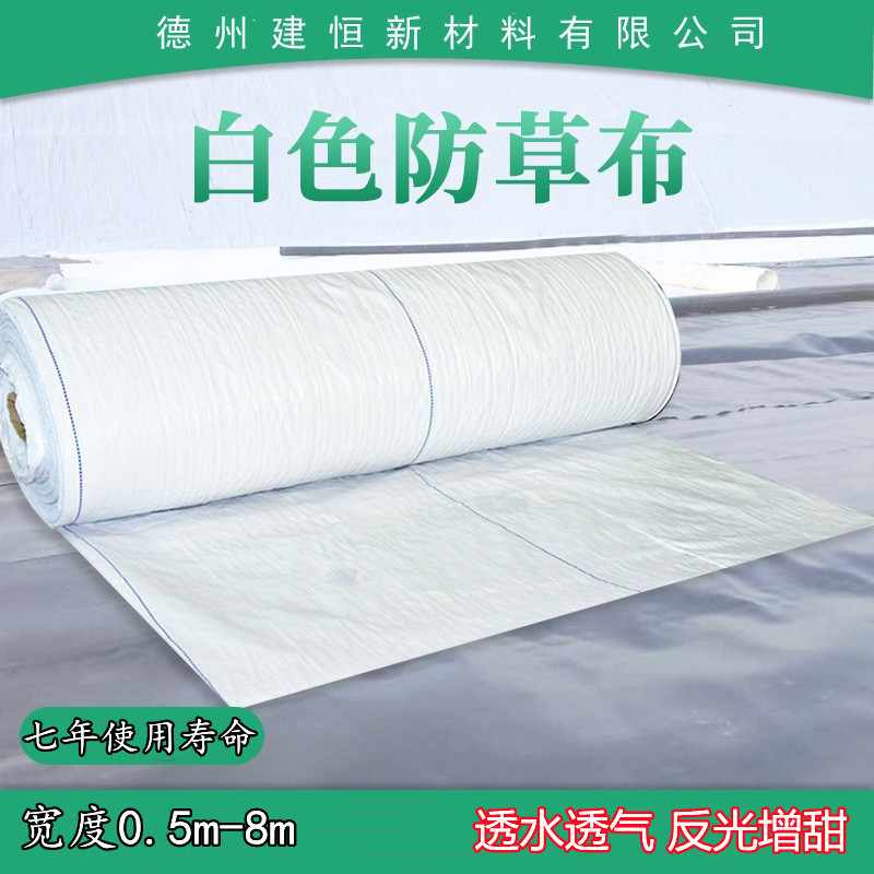 白色透水透气pe园艺地布大棚果园反光防草布温室园林除草布