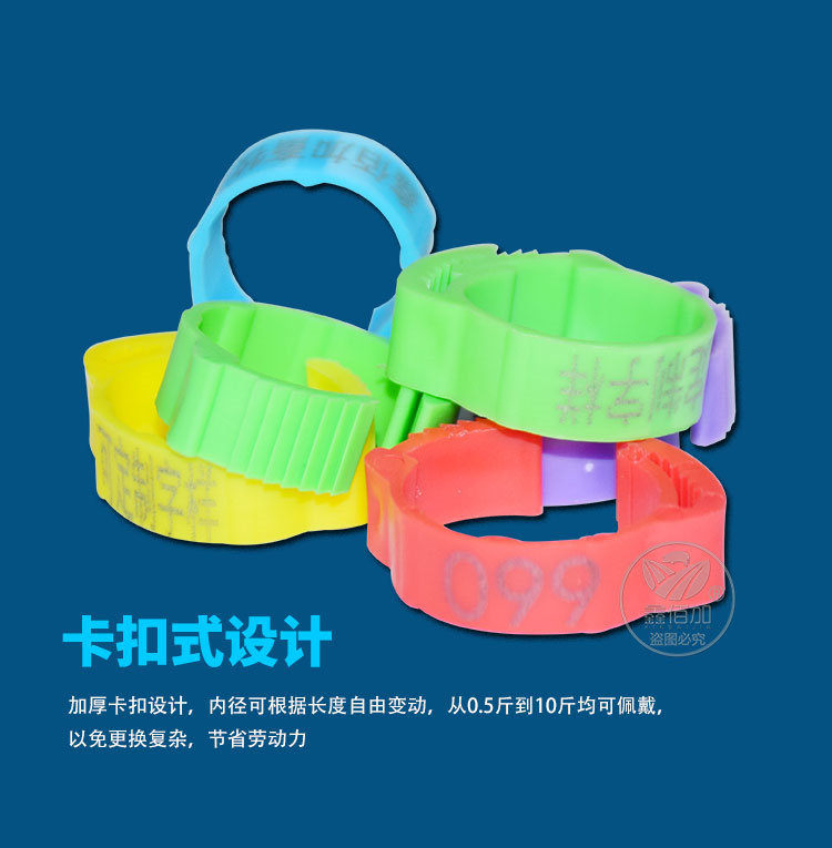鸡脚环可调BA详情页 (2).jpg