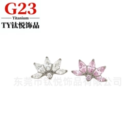 耳钉;其他穿刺饰品;耳廓、耳扩