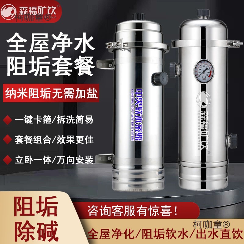 Stainless Steel Whole House Descaling Water Purifier Household Commercial Water Softener Purifying Water Quality Alkali and Scale Inhibition Pre-Metabo