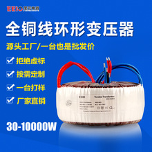 圣元单相隔离环形变压器220v转24v36v大功率发烧功放环牛厂家直销