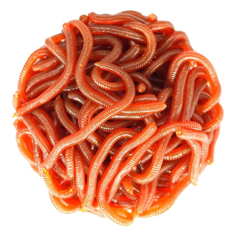 Simulated Centipede Fake Bait Luya Bait Taiwan Fishing Sea Fishing Luya Fishing Universal Bait Carp Crucian Carp Grass Carp Soft Bait