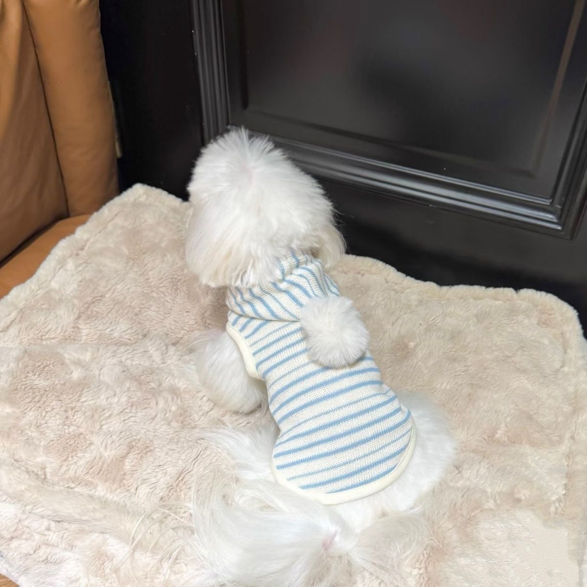 Puppy Hooded Sweatshirt Cute Style Sweatshirt Clothes Yorkshire Schnauzer Bichon New Cat and Dog Stripes