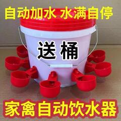 喂鸡食槽水槽一体喂鸡懒人出远门农村自动喂鸡家禽养殖小鸡鸭