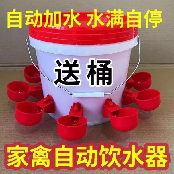喂鸡食槽水槽一体喂鸡懒人出远门农村自动喂鸡家禽养殖小鸡鸭|undefined