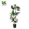 Green Yun Simulation Plants White Border Turtle Bamboo Turtle Back Leaf Home Decoration Small Popular Plant Artificial Green Plants indoor bonsai