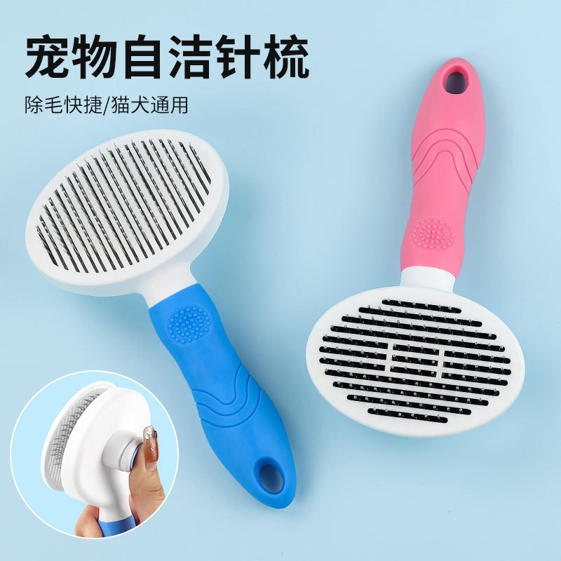 타원형 굵은 바늘 블루 종이 카드