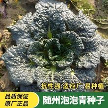 SNӺ~๣˷Nݰ~ڞͶСײ߲҃˷NZ