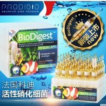 法国ProdiBio科迪硝化细菌净水宝淡海水菌粮用益生菌活菌水族专用