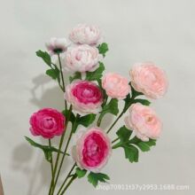 ��c���滨3�^ѩɏ���͏d�b��[���ֹ����컨�ٻ������羳���l