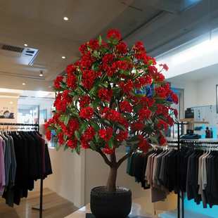 �u�������b�ӵ��b��ͻ���Gֲ����ֲ���٘��쾰