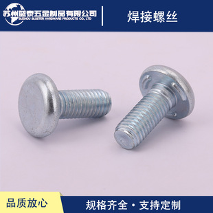 ƽ�A�^���c�н��溸�����������\�c��͹����˨Q1980616DIN34817