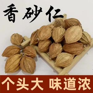 [厂家批发香砂仁调味料药材香辛料厨房调料大全500g炖肉香辛料中药]
