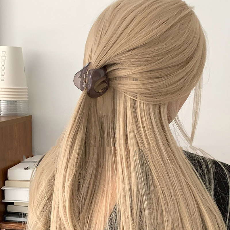 Holiday, Daily Occasion Women's Modern Style Classic Style Korean Style Geometric Plastic Stoving Varnish Hair Claws