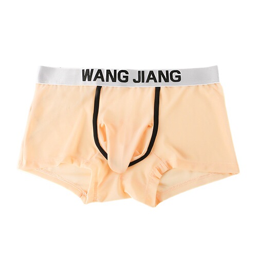 Men's boxer briefs transparent mesh elephant trunk briefs bullet separation sexy bag boxer briefs for young men