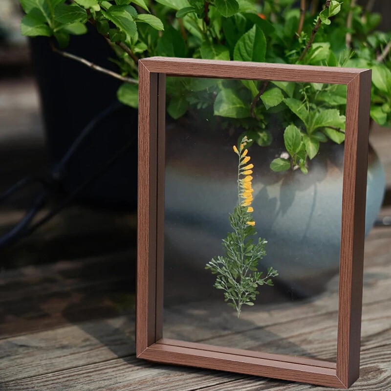 Creative Handmade Photo Frame Double-Sided Glass Frame Wooden Dried Flower Double-Layer Specimen Photo Wooden Frame Transparent Picture Frame Creative Handmade Photo Frame Double-Sided Glass Frame Wooden Dried Flower Double-Layer Specimen Photo Wooden Frame Transparent Picture Frame