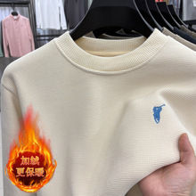 2025bë¼ӽqӺƷ|ëᘿůܛl