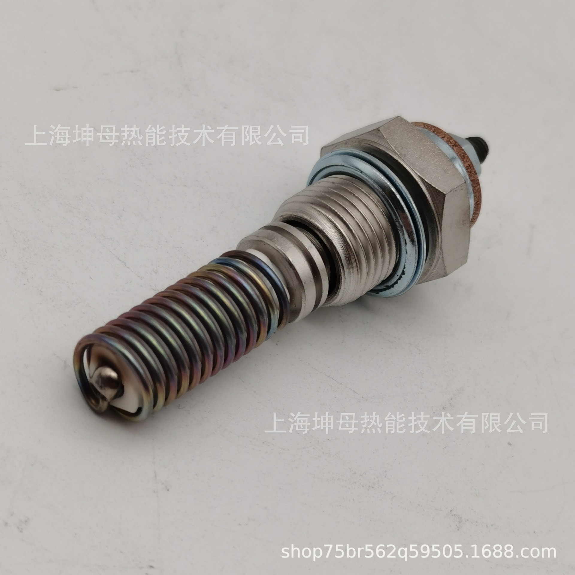 BERU/贝鲁电极头GH010-0102124416