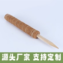 ��ע�羳 Ҭ�����ٰ��G�}������ Ҭ�������U �S�����l