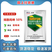 ���A�ݿ� �d�A 50%ϩ�����������S��˪ù���߲��rș������100g