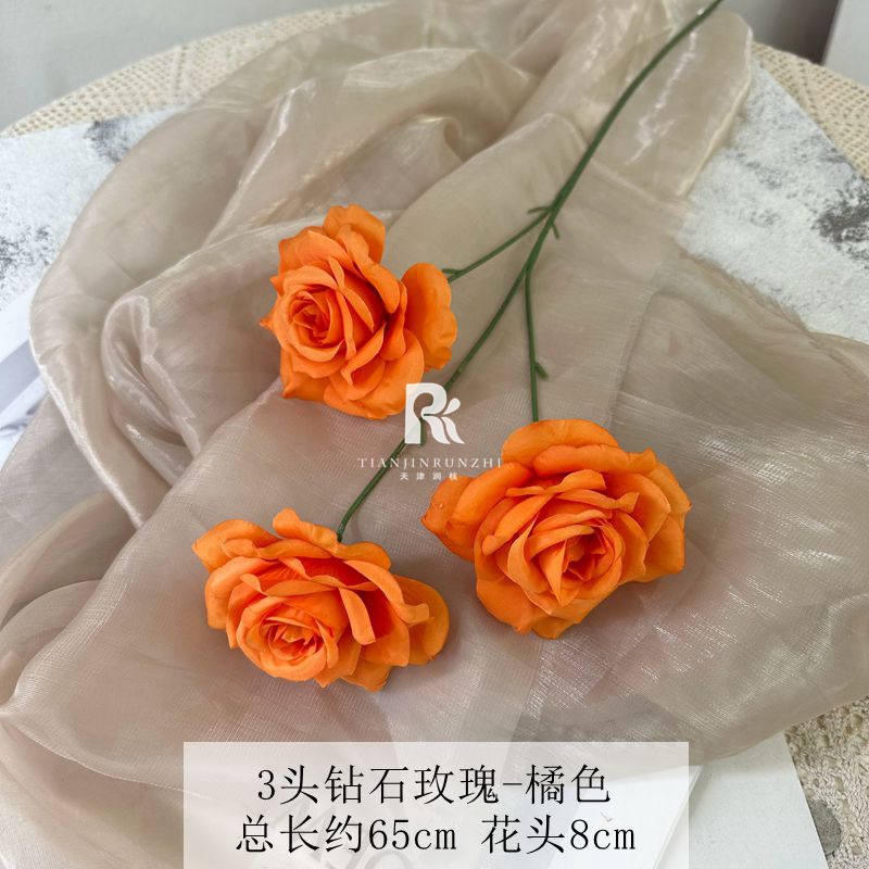 일반 다이아몬드 로즈 오렌지