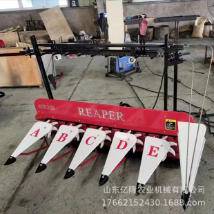 ���C���Ӹ����ַ��ո�C ���׽ն�����C �������ѹ�Ӣ���C