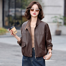 2026�����¿����IPUƤ����Ů���ɰٴ�r�����С�������� WA13