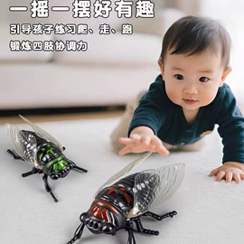 清洁球/刷;厨房小工具;衣钩/挂钩