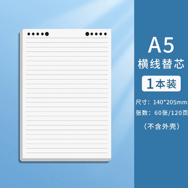 Replacement core (A5)