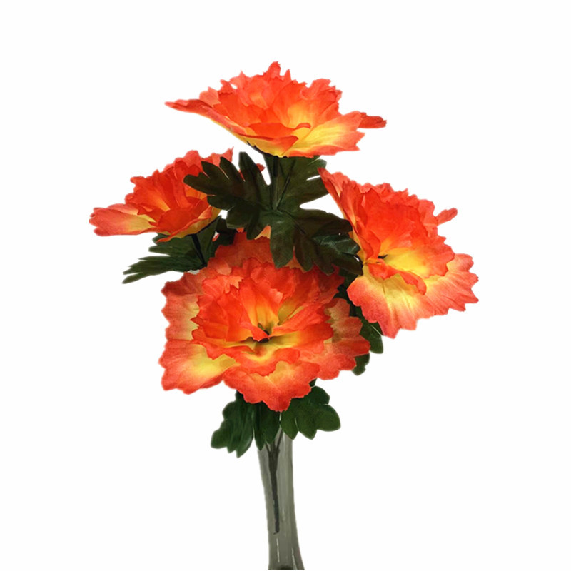 caac6d4c755ae5eee4c0d379d7bc7e