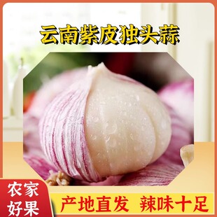 ��Ϫ��^��5������^���r��Ƥ��������t��������߲�����