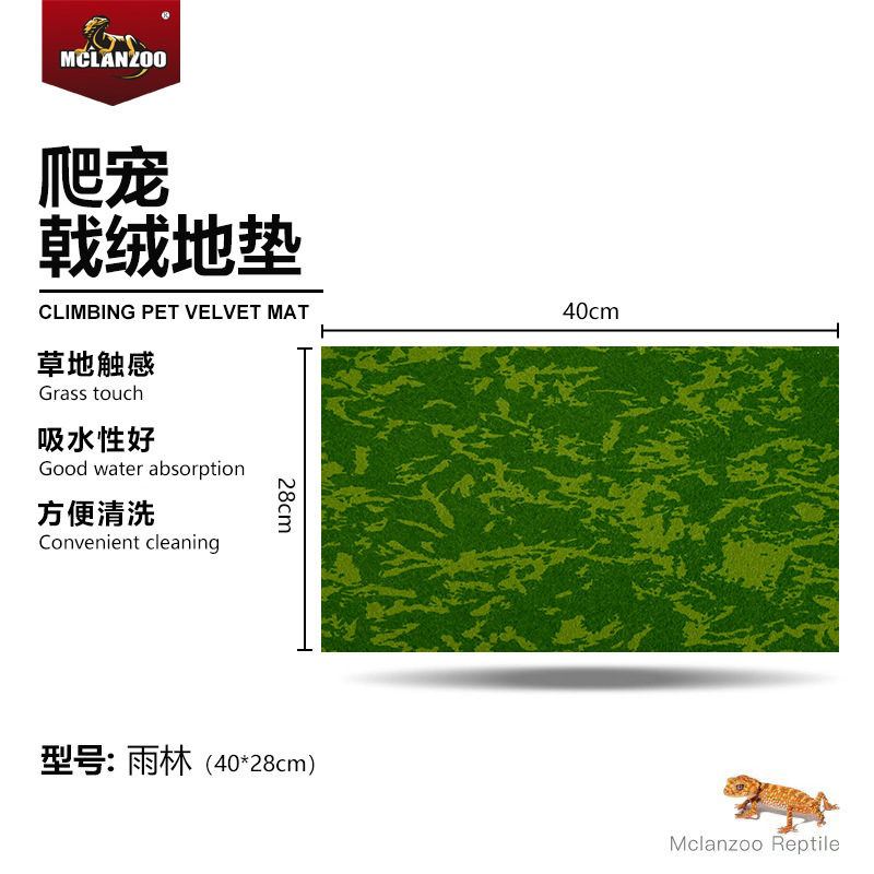 【열대우림】40*28