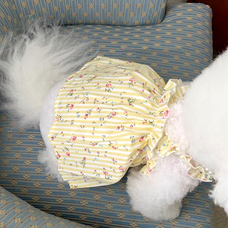 ペットの犬猫服夏薄いテディビションポメラニアンヨークシャー小型子犬猫スカート|undefined